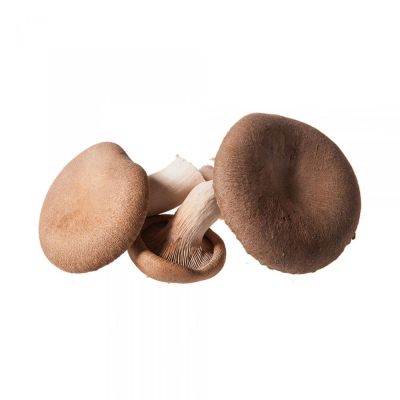 Funghi cardoncelli