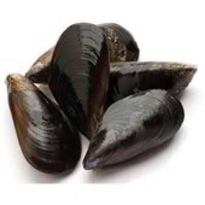 Cozze nere