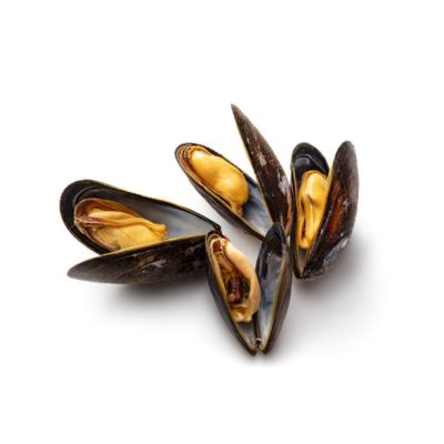 Cozze nere